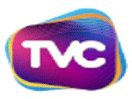 TV2COM EPG data