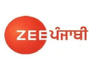 Zee Punjabi EPG data